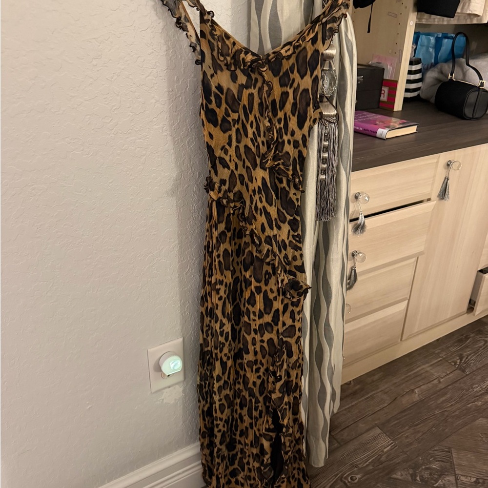 Zara Lepoard Print Maxi Dress